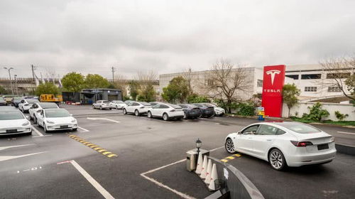 特斯拉2月國內新能源車銷量3958輛奪魁，集中式快速充電站成行業新焦點